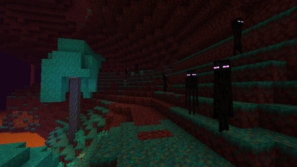 �ҵ�������Ұ�116��ʽ������