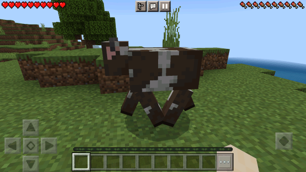 �ҵ�������Ұ�1.16�汾 v1.16.221.01 ��׿�� 2