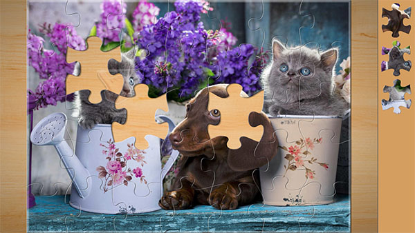 ħ��ƴͼ��׿�ٷ�������