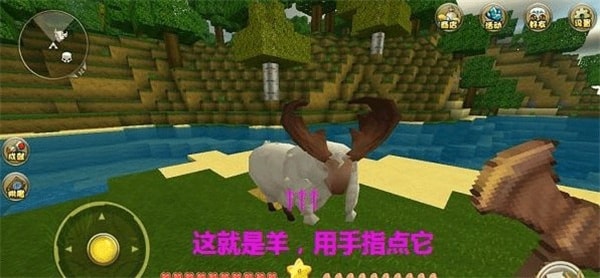 ����������Ϸ����