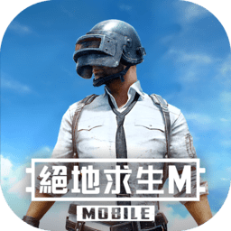 pubg m(���ʷ�)