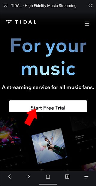 tidal��ôע��