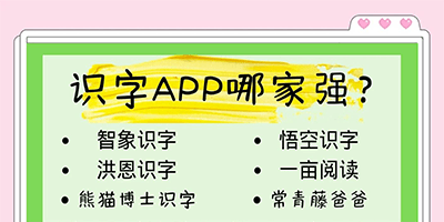 ʶ������