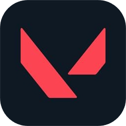 ��η��Լ����(valorant)