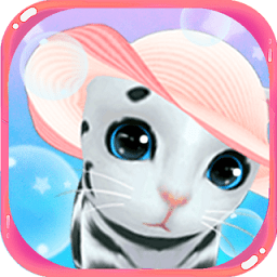 ����Сè�ٷ������°汾